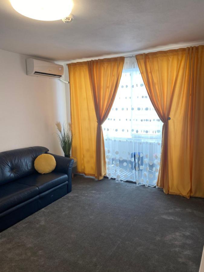 Apartament Ultracentral David Apartment Pucioasa Bagian luar foto