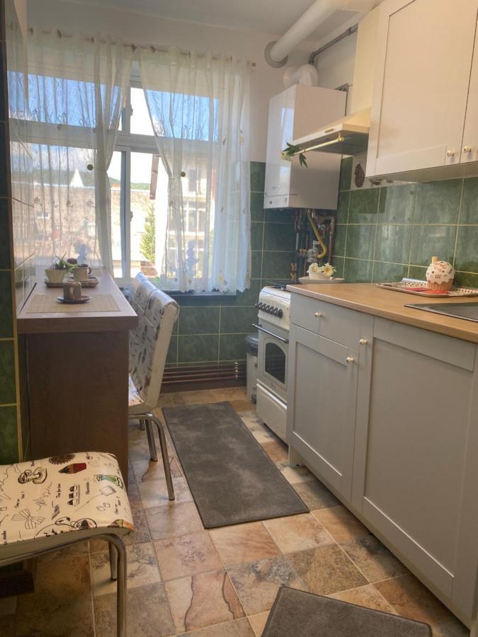 Apartament Ultracentral David Apartment Pucioasa Bagian luar foto